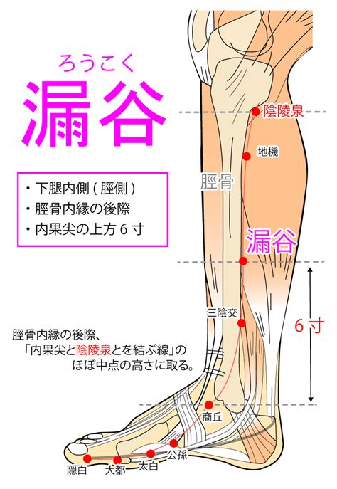 漏穴|漏谷（ろうこく） 